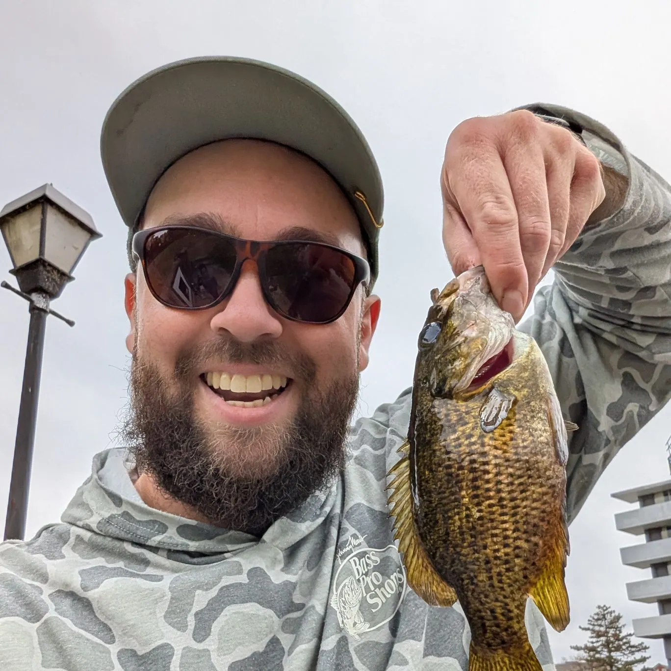 Rock bass caught on Fishbrain