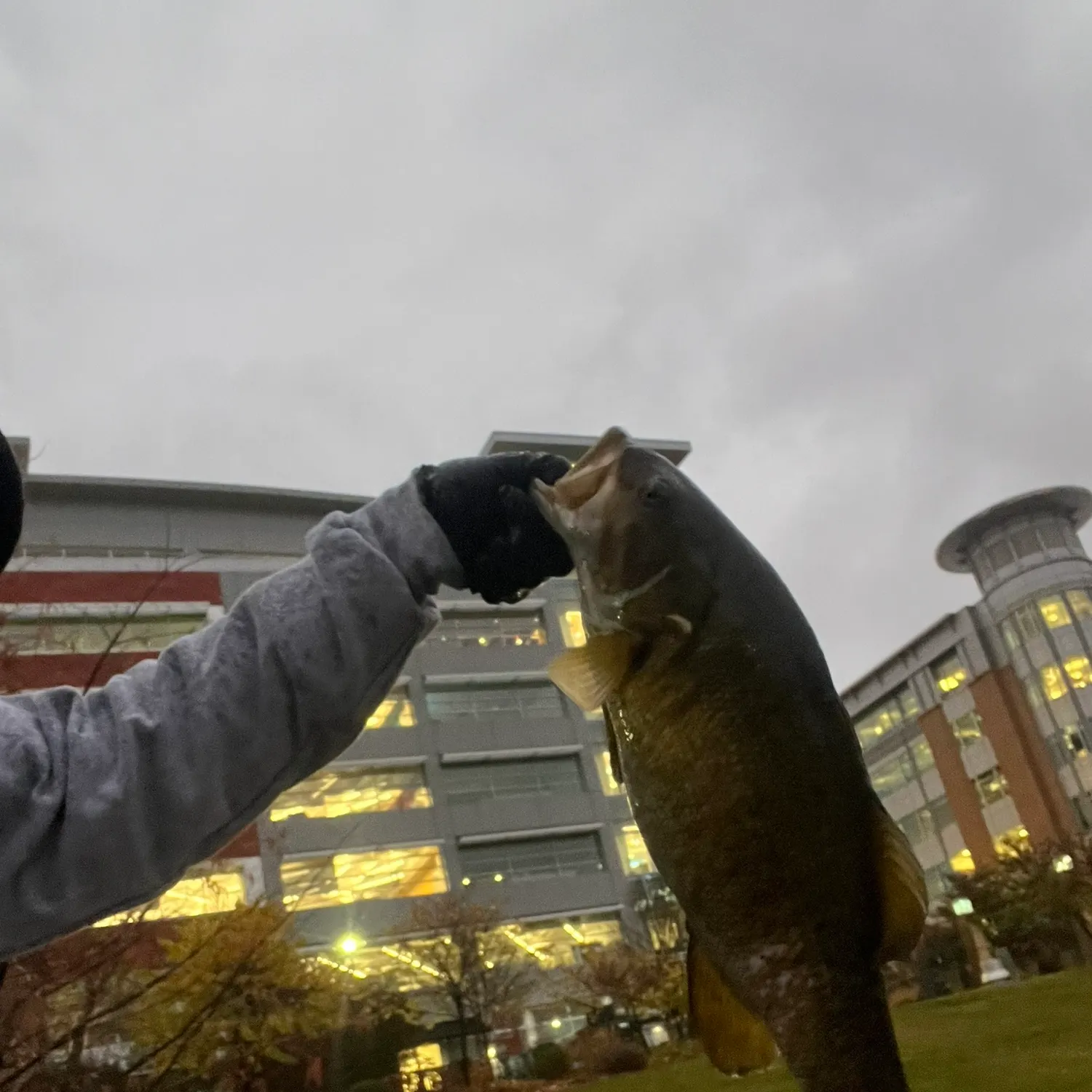 catch
