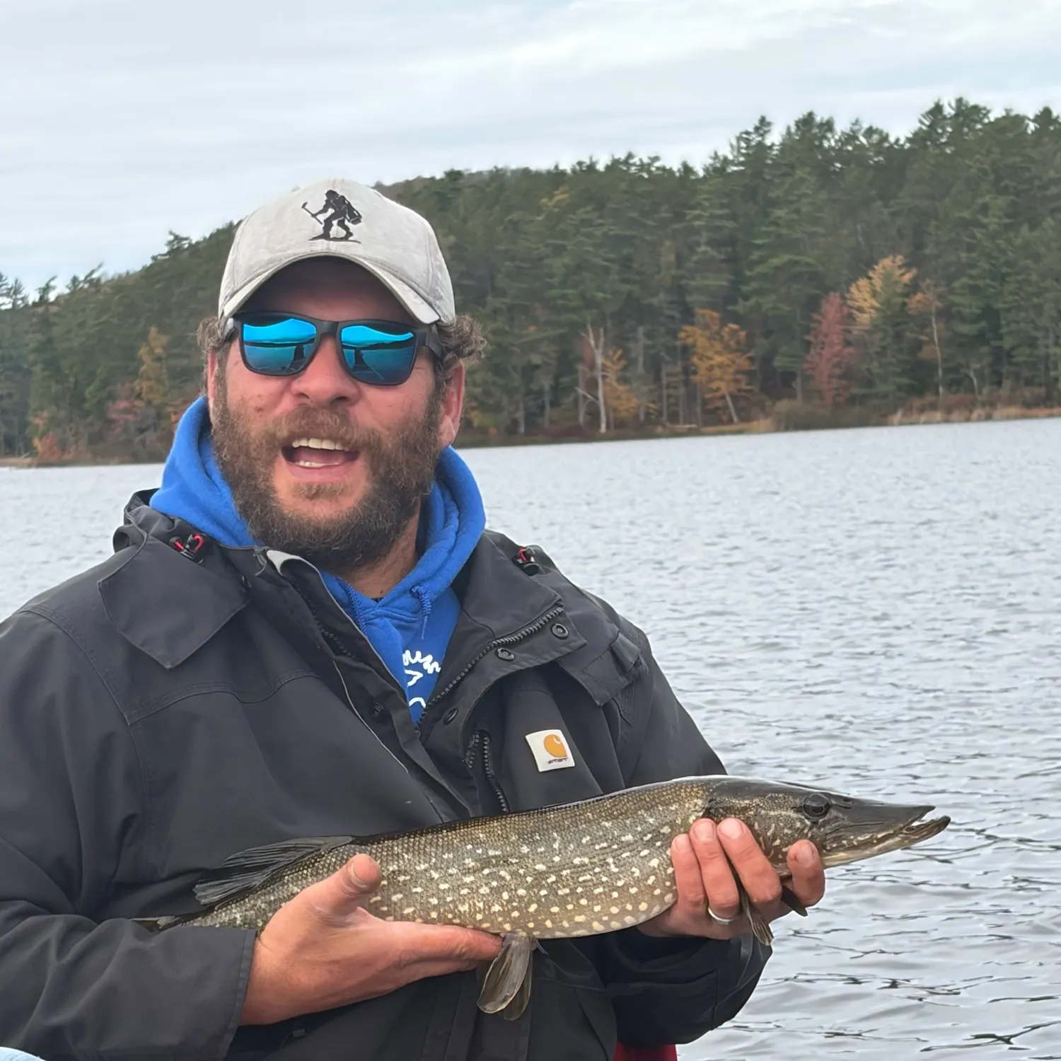 Northern pike caught on Fishbrain