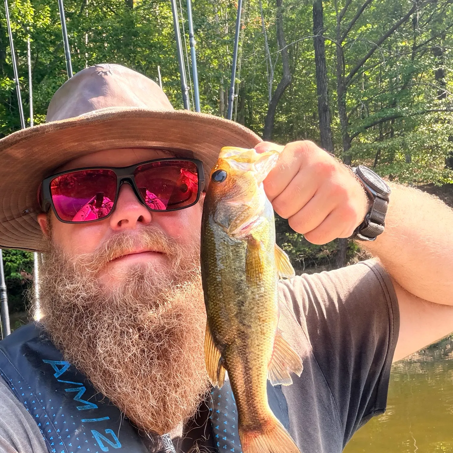 Largemouth bass caught on Fishbrain