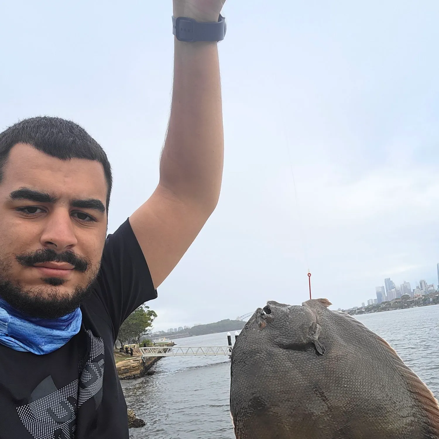 The most recent Largetooth flounder catches on Fishbrain