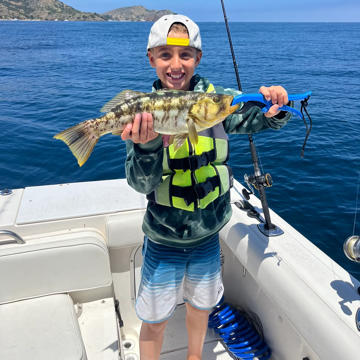 The most recent Kelp bass catches on Fishbrain