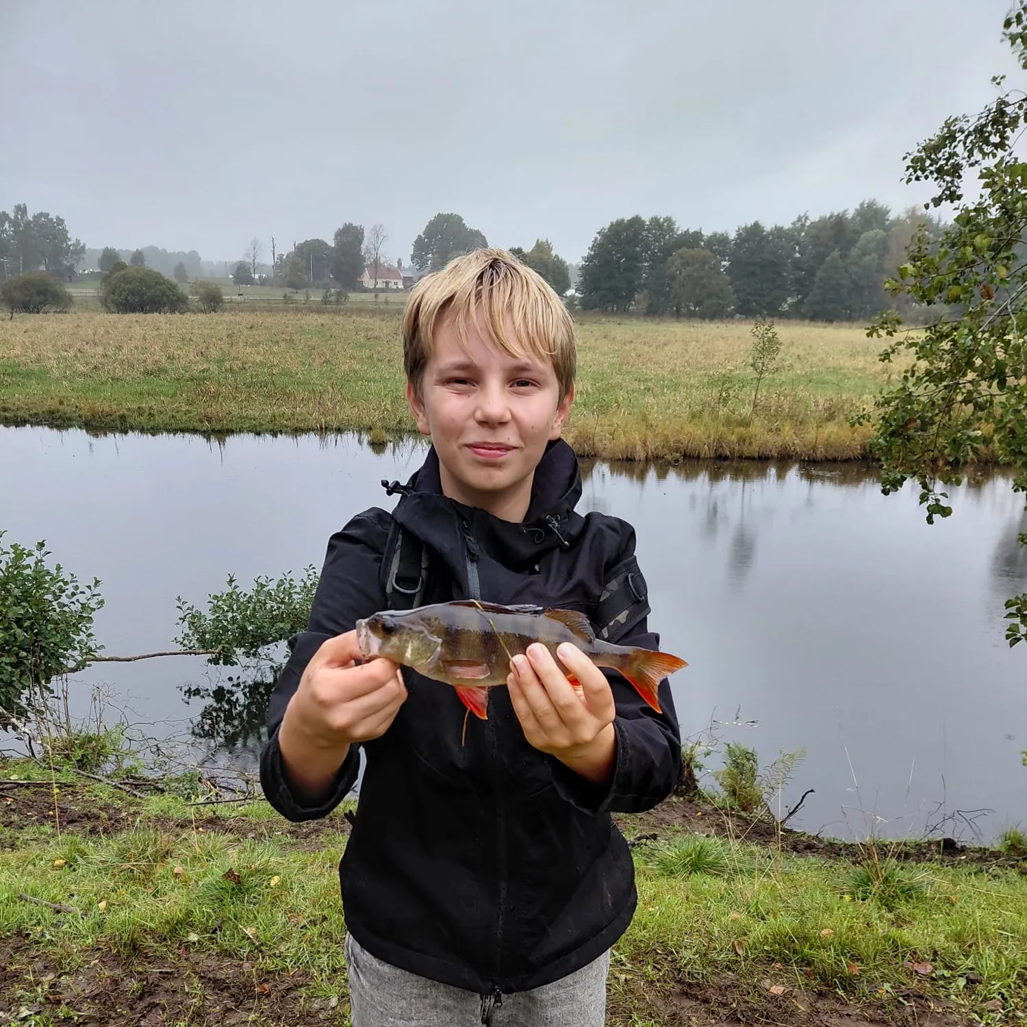 European perch caught on Fishbrain