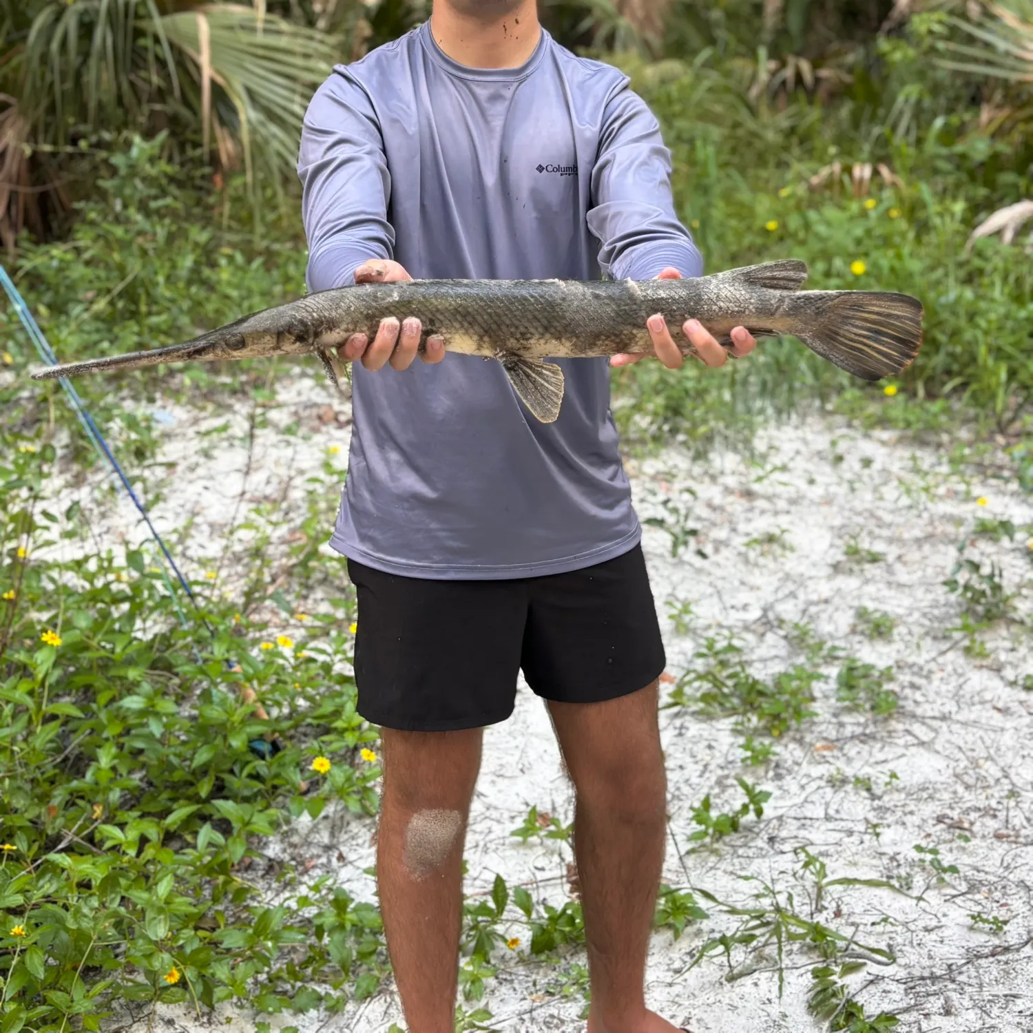 The most recent Longnose gar catches on Fishbrain