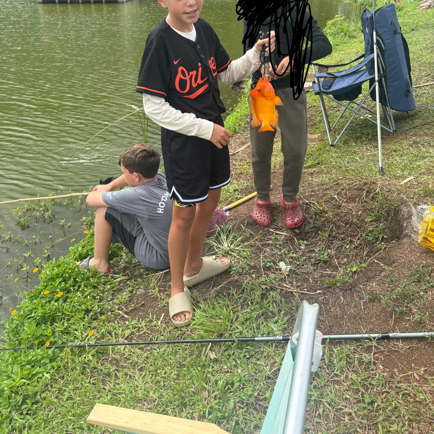 The most recent Red devil cichlid catches on Fishbrain