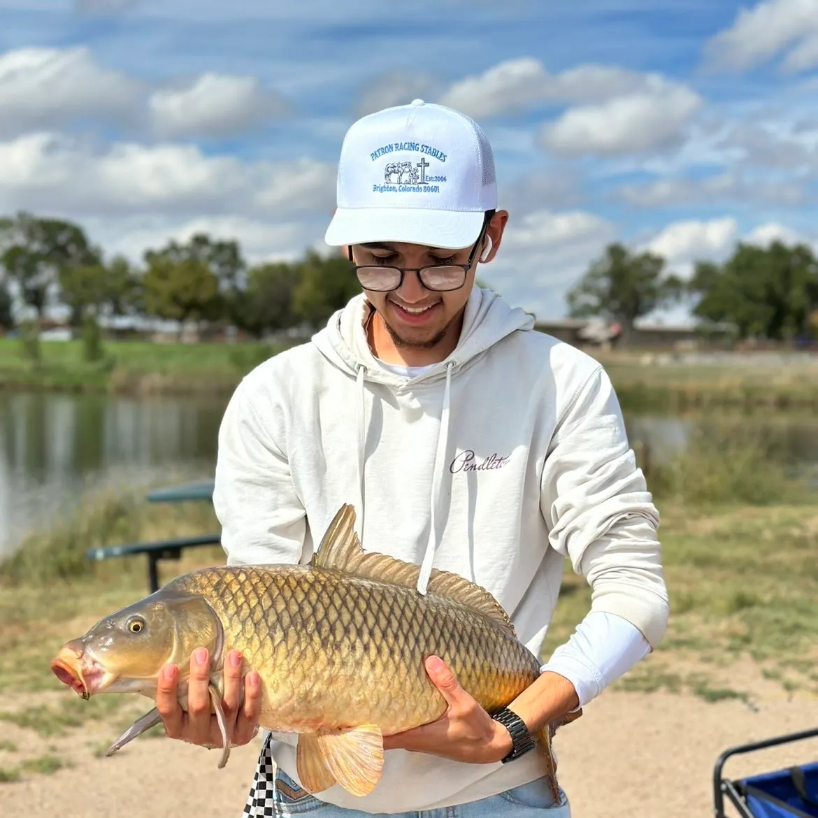 Common carp caught on Fishbrain