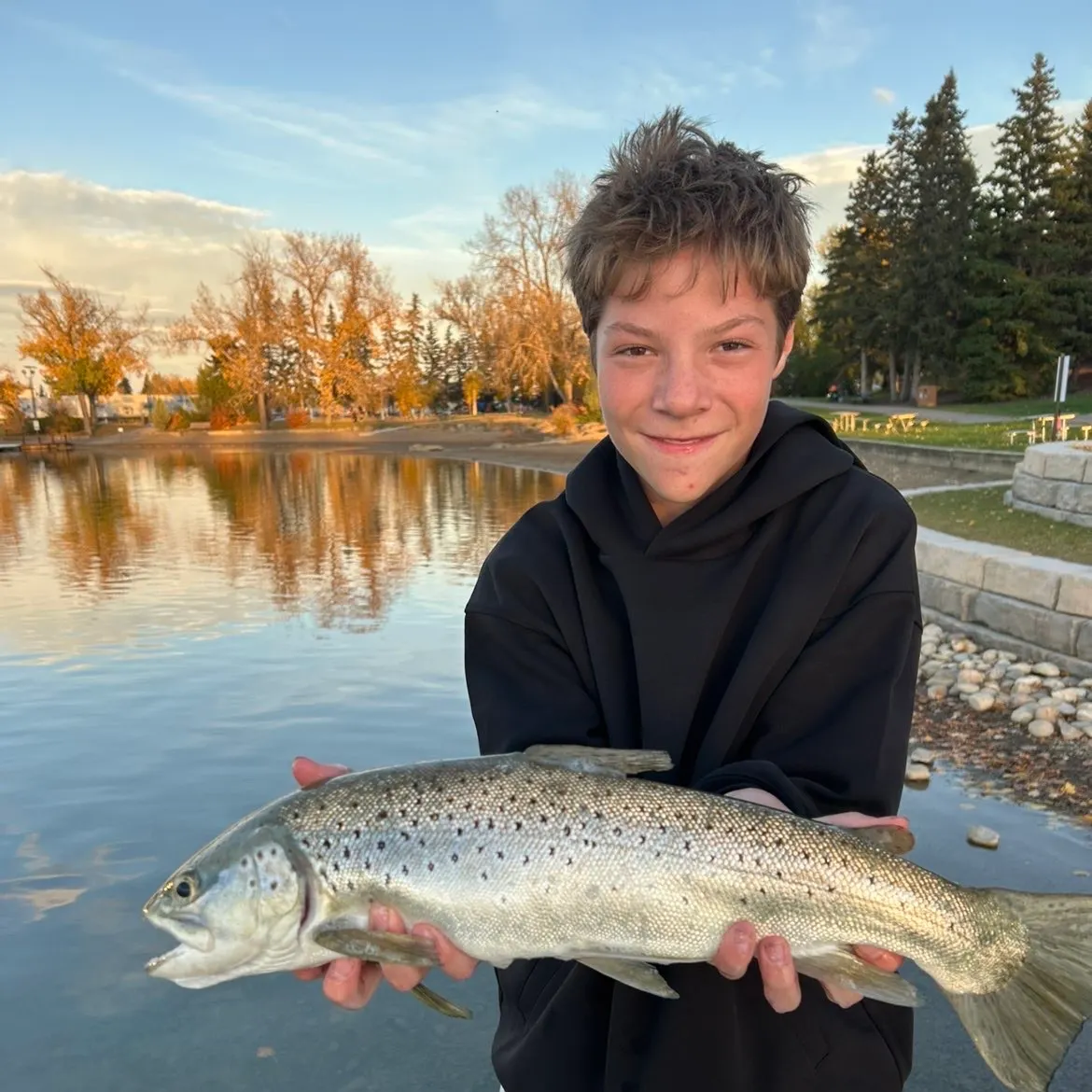 Brown trout caught on Fishbrain
