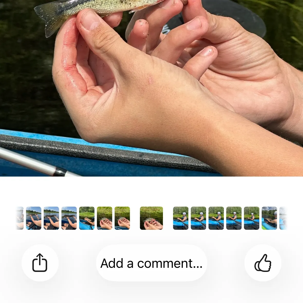 recently logged catches