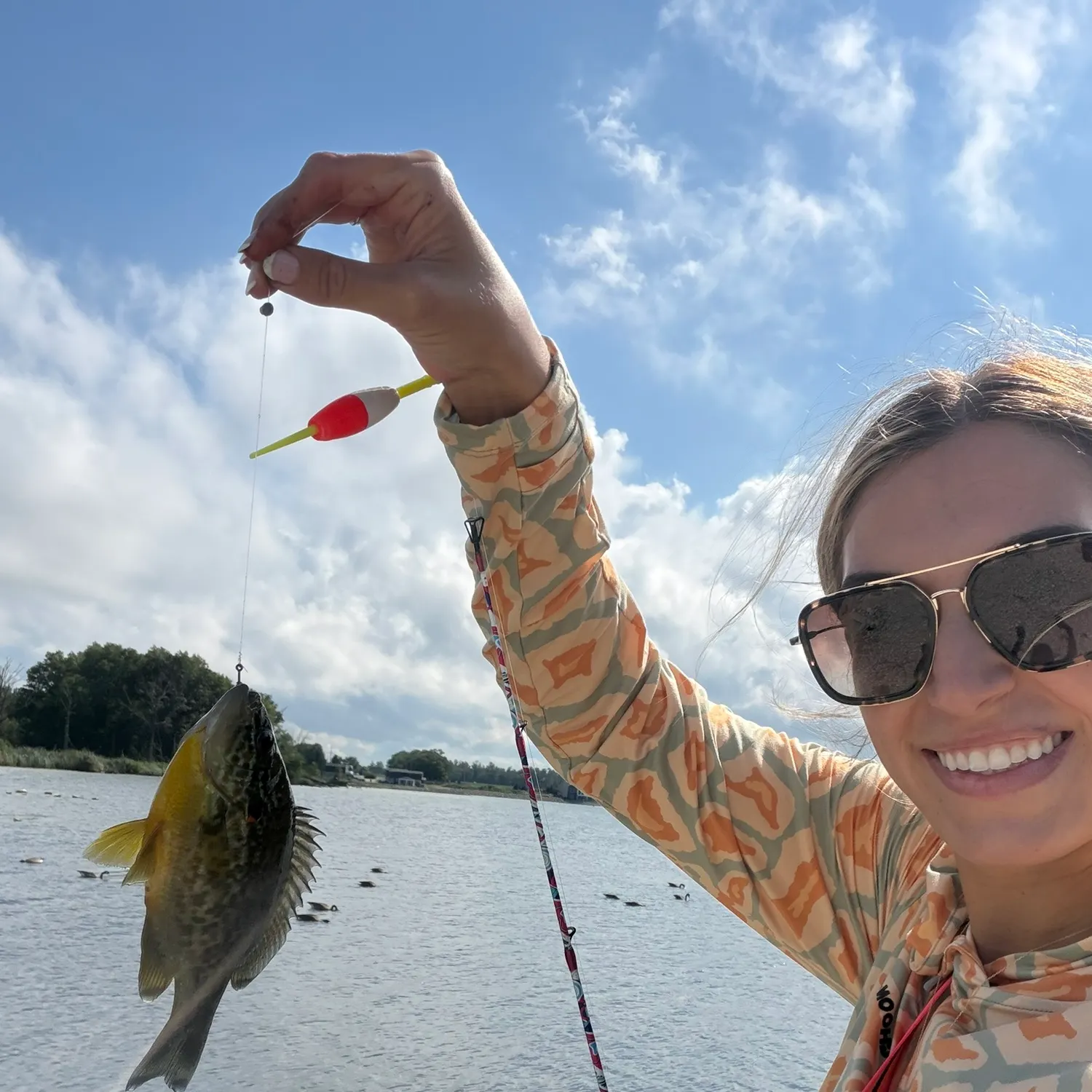Pumpkinseed caught on Fishbrain