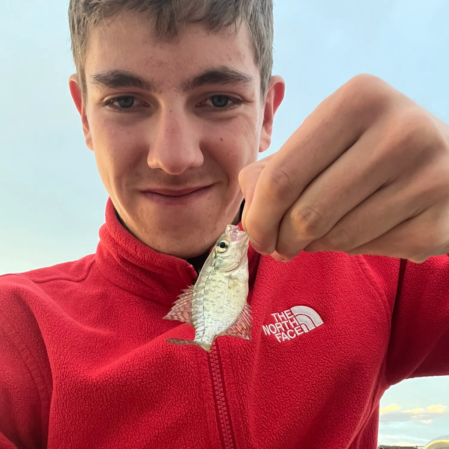 Black crappie caught on Fishbrain