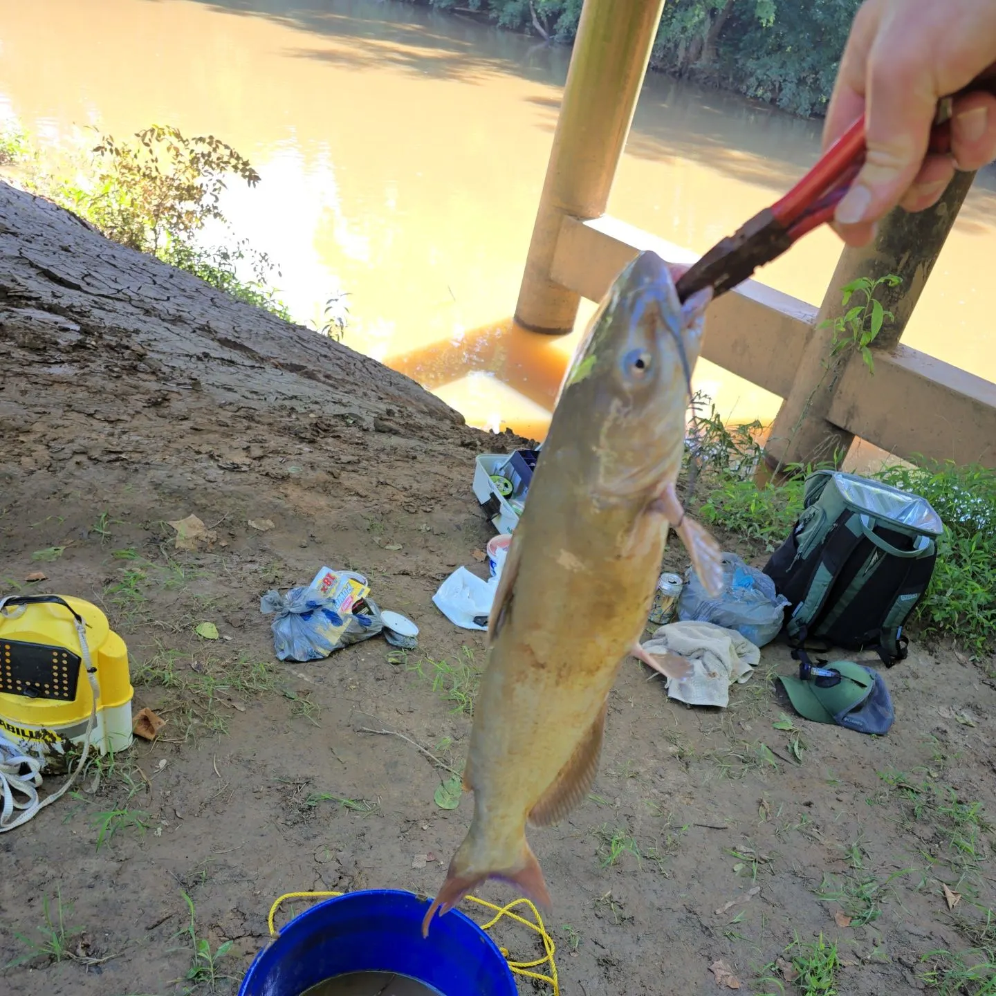 catch