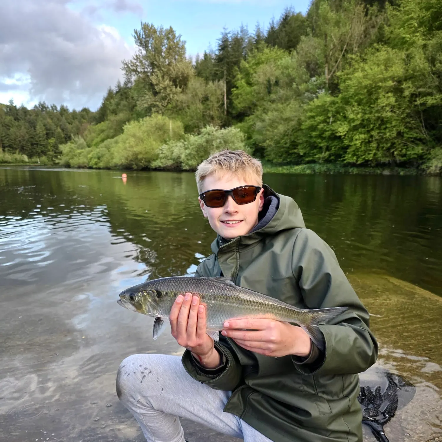 The most recent Twait shad catches on Fishbrain
