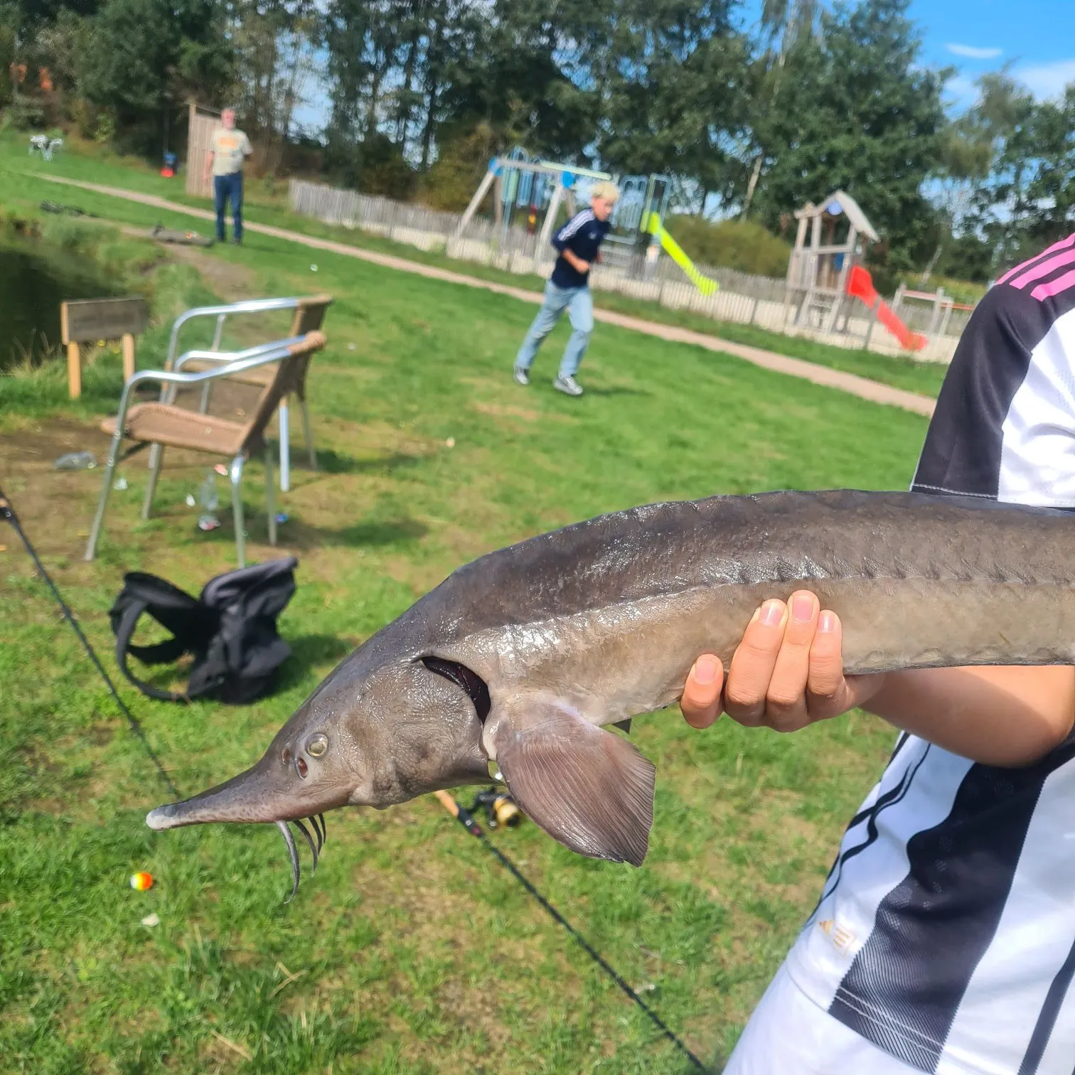Black bullhead caught on Fishbrain