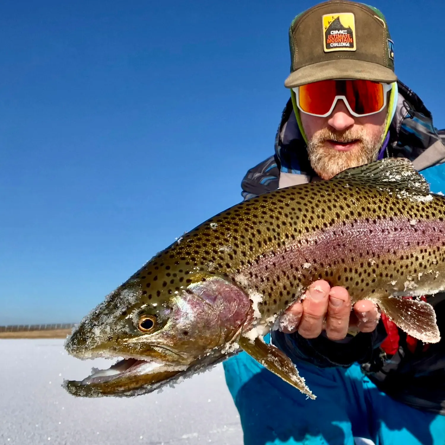 The most recent Eagle Lake Rainbow Trout catches on Fishbrain