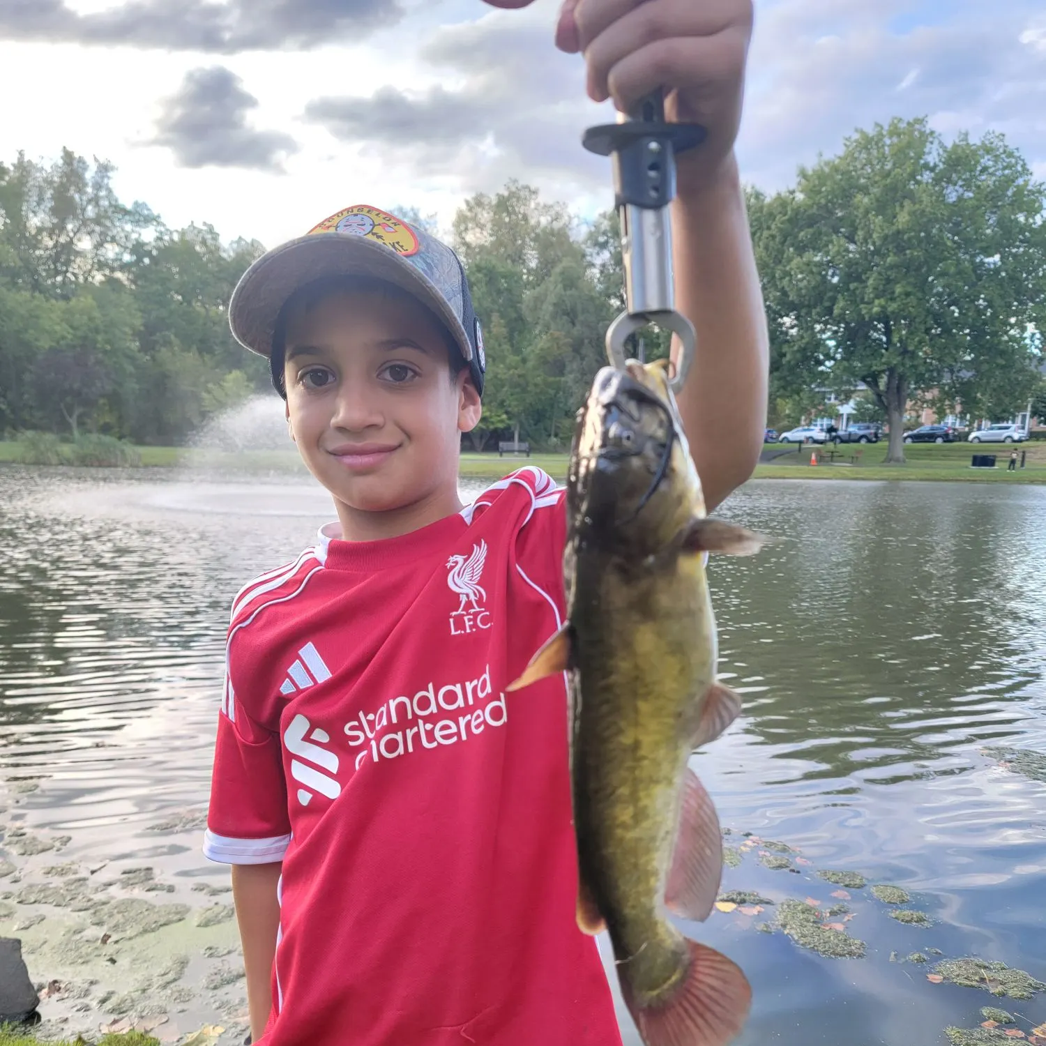 Brown bullhead caught on Fishbrain