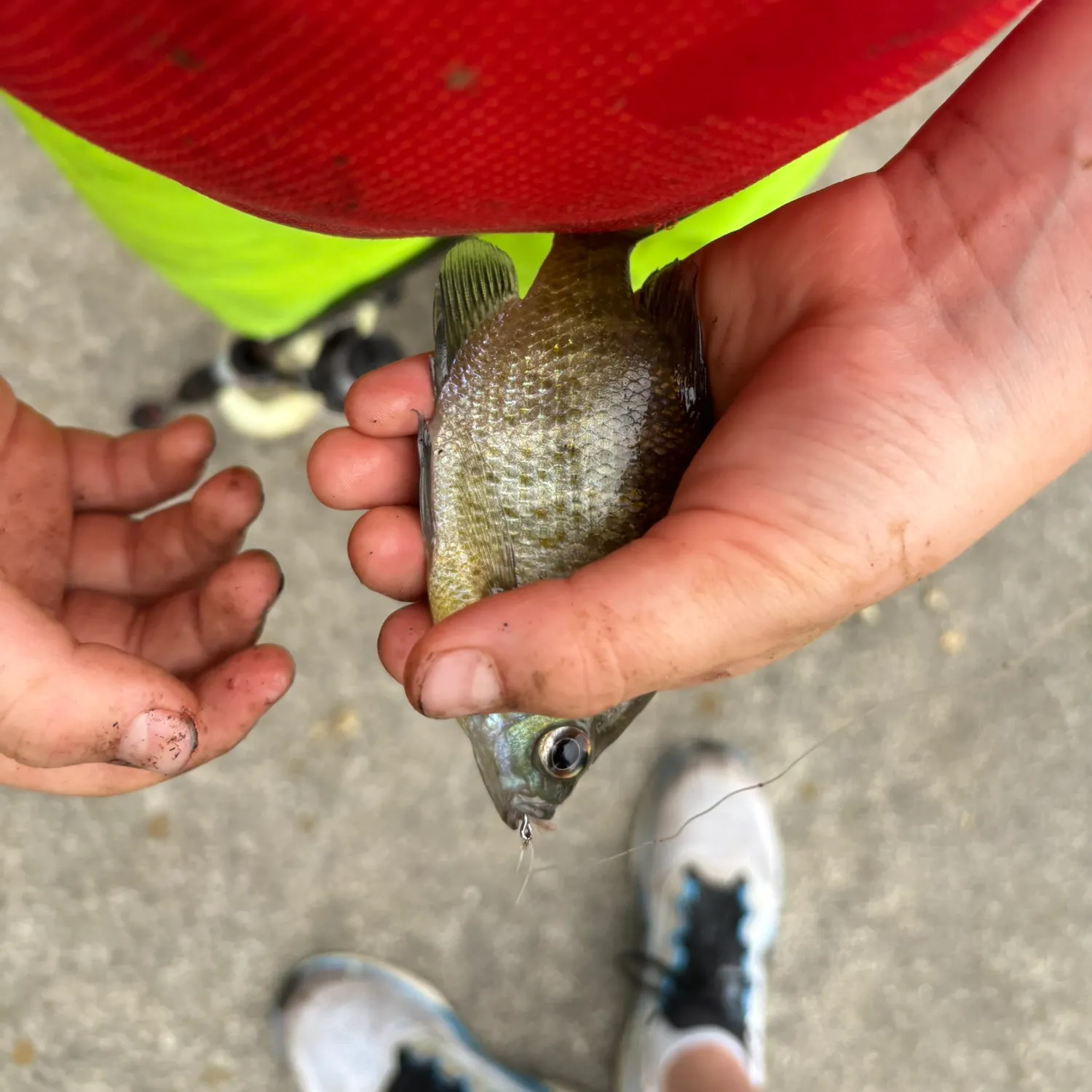 catch