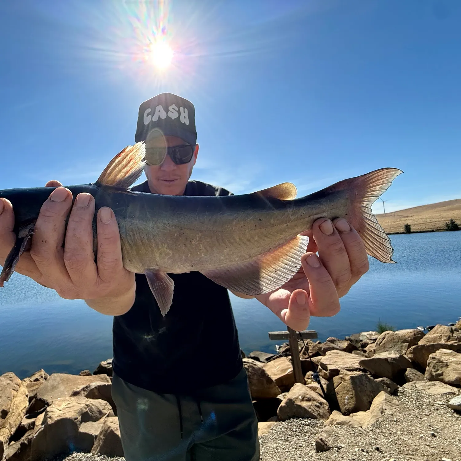 Channel catfish caught on Fishbrain