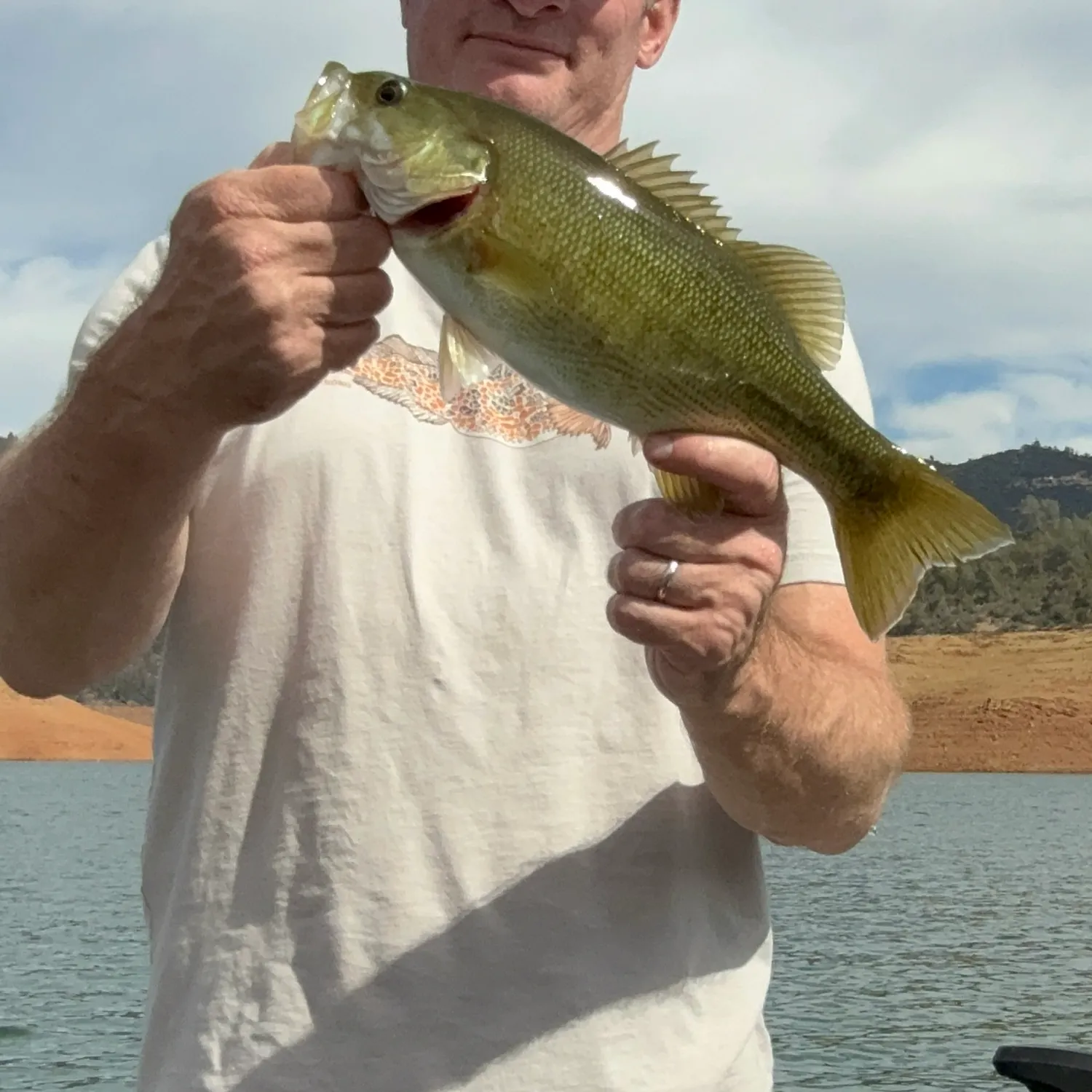 Smallmouth bass caught on Fishbrain