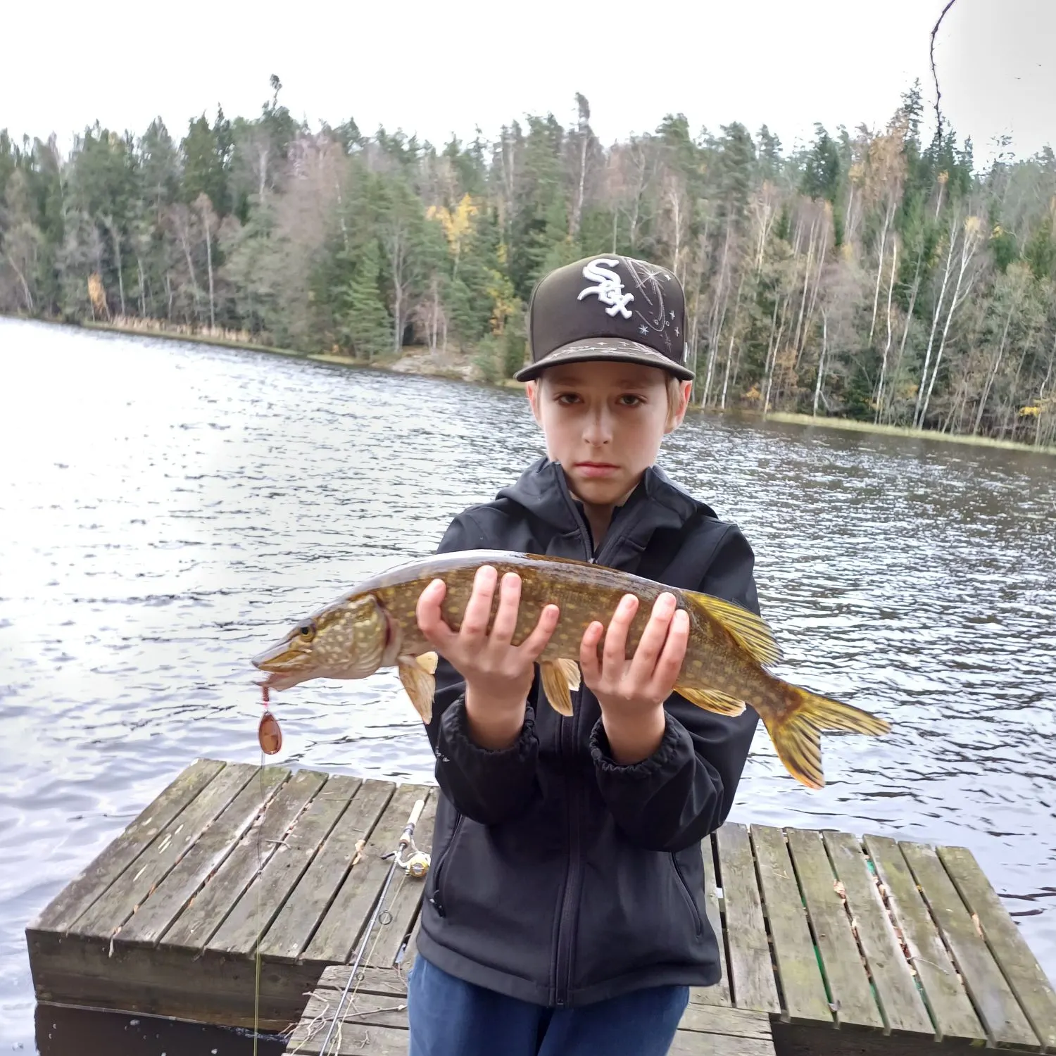 Northern pike caught on Fishbrain