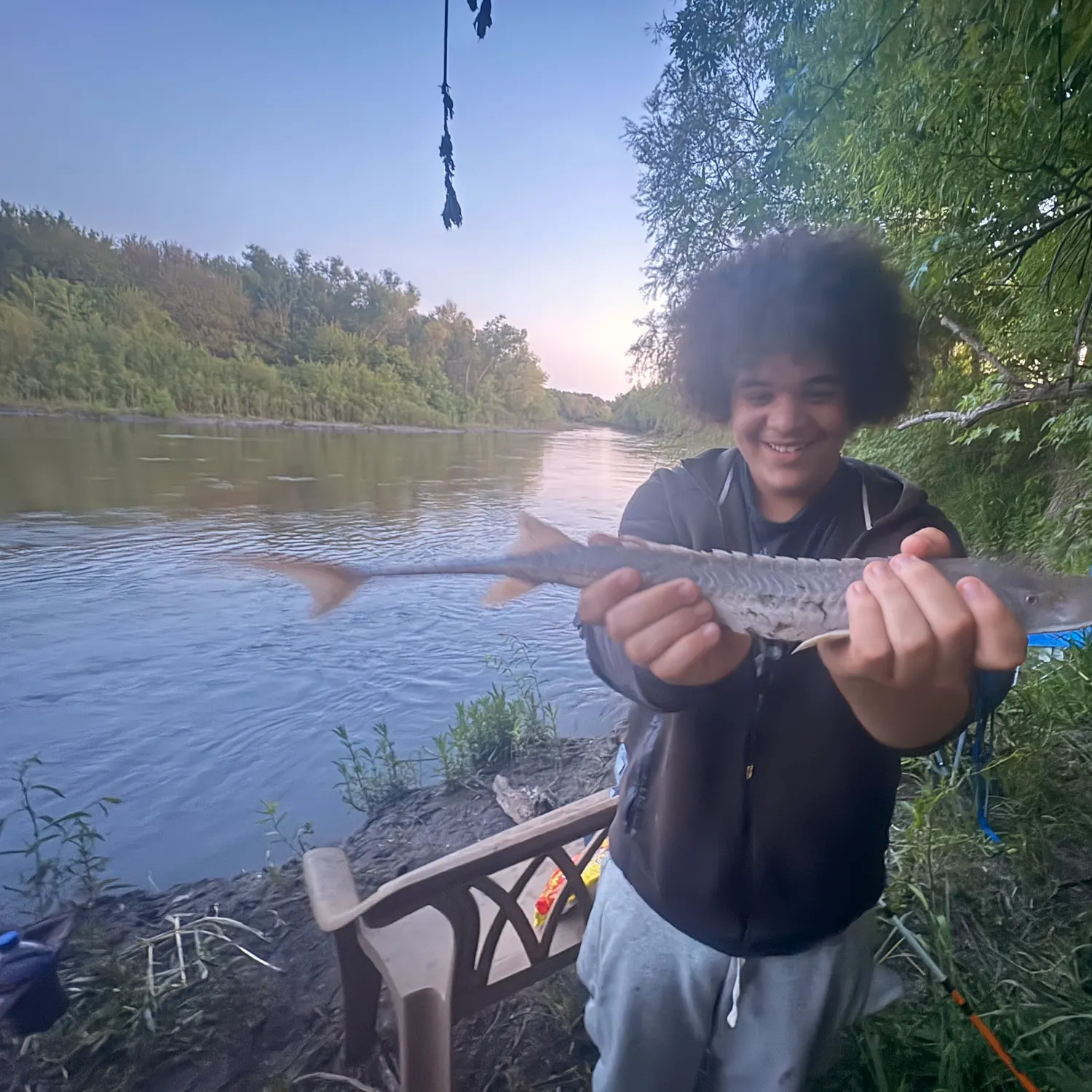 The most recent Pallid sturgeon catches on Fishbrain