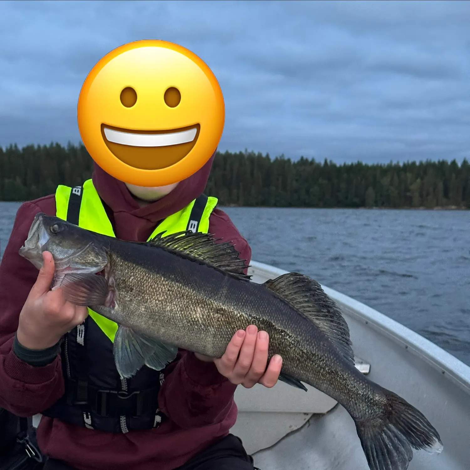 Zander caught on Fishbrain
