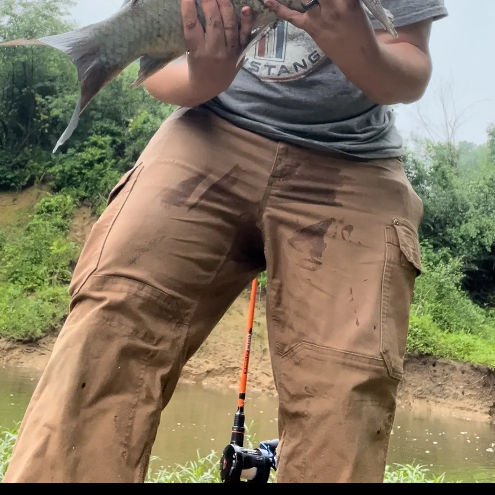 The most recent Black buffalo catches on Fishbrain
