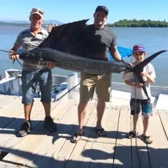 The most recent Indo-Pacific sailfish catches on Fishbrain