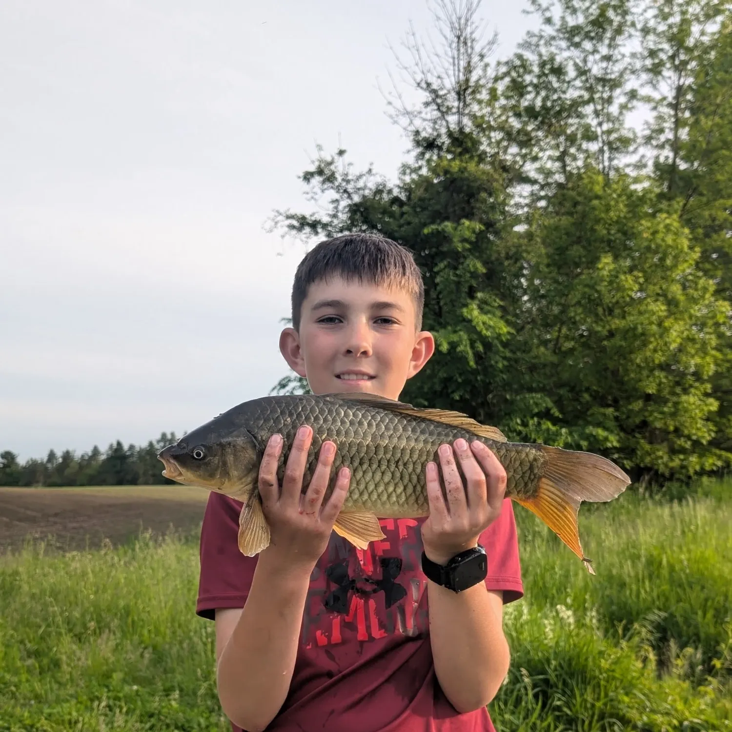 The most recent Common carp catches on Fishbrain