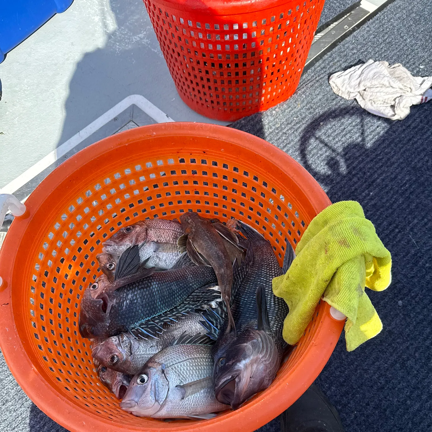 catch