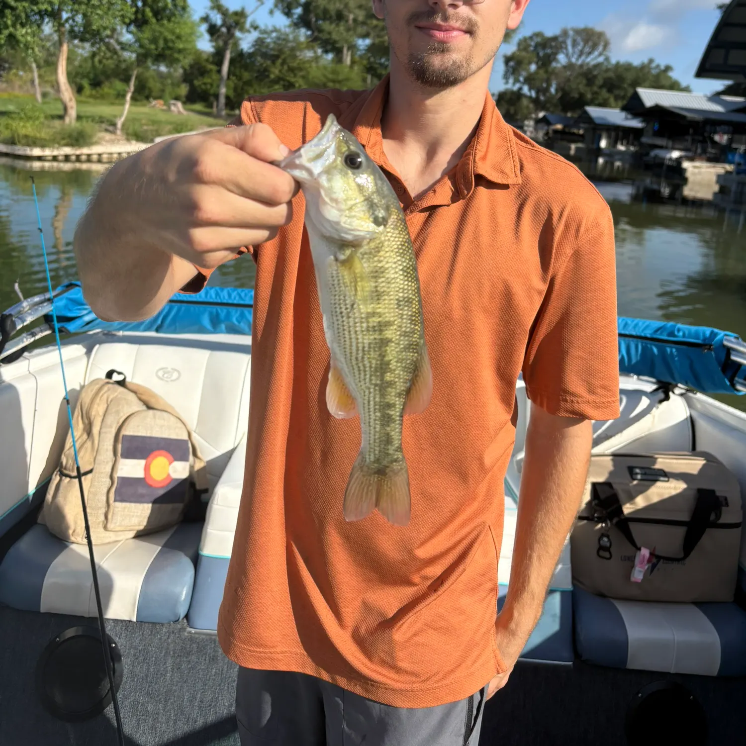 The most recent Guadalupe bass catches on Fishbrain