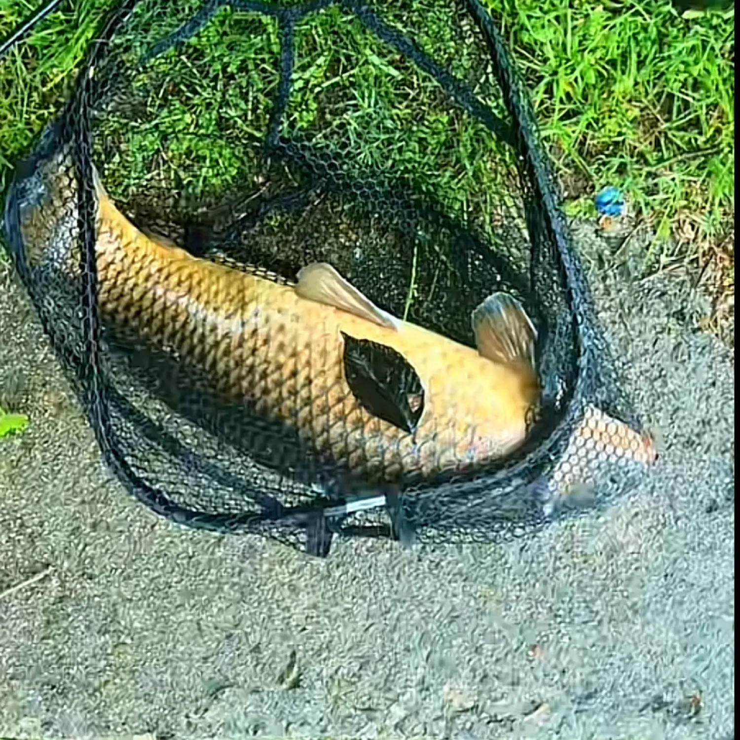 most liked catch image