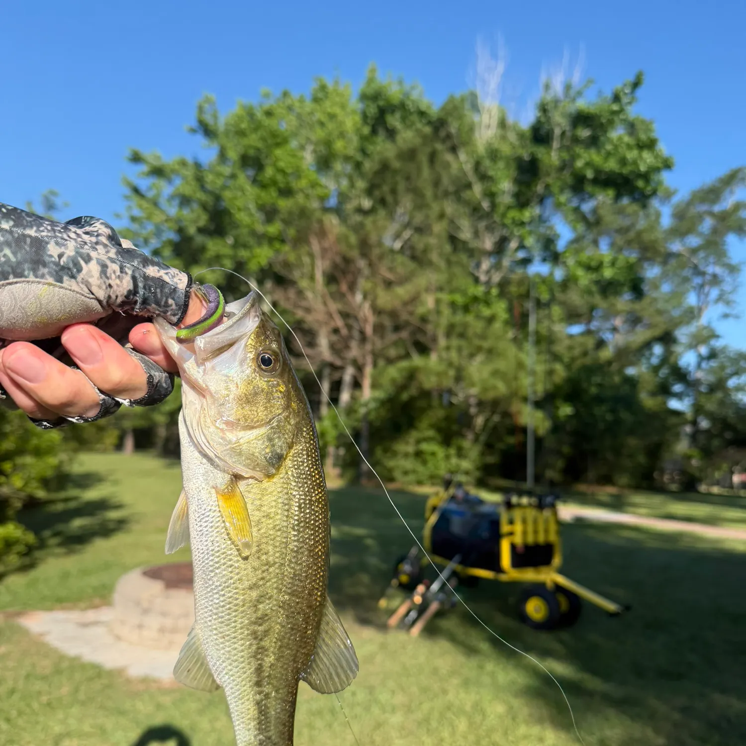 catch