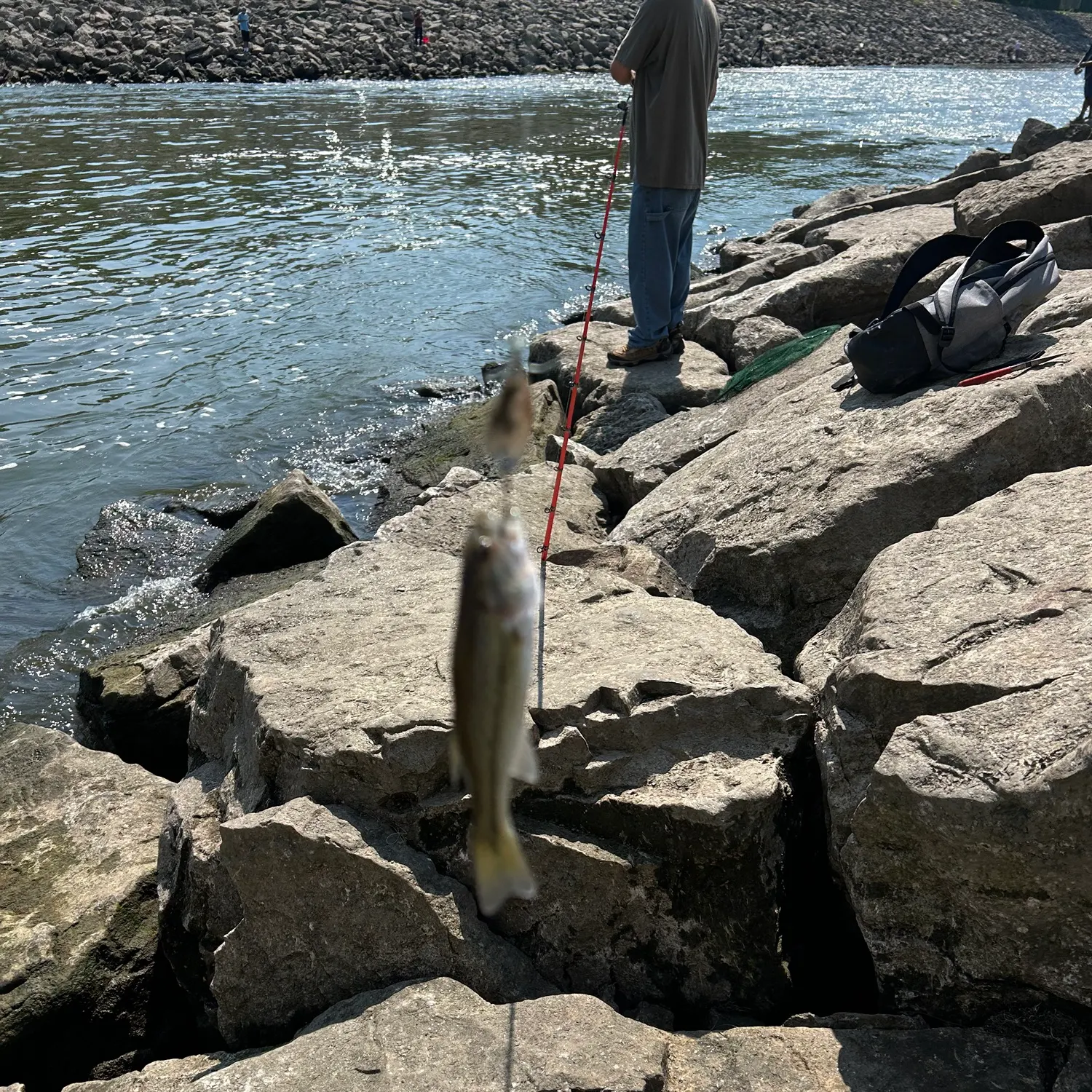 catch