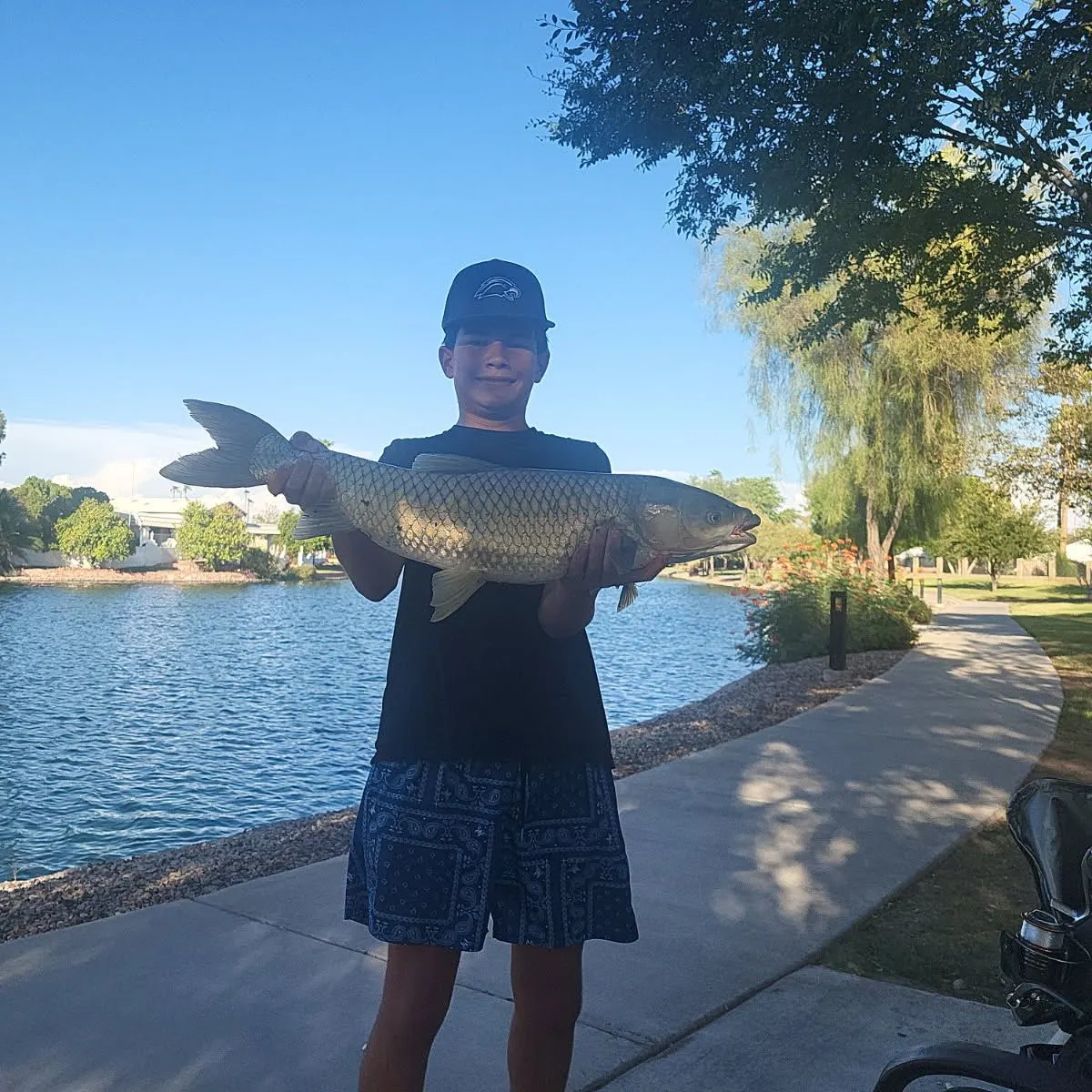 Grass carp caught on Fishbrain