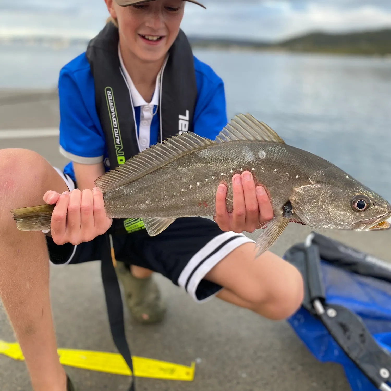 The most recent Japanese meagre catches on Fishbrain