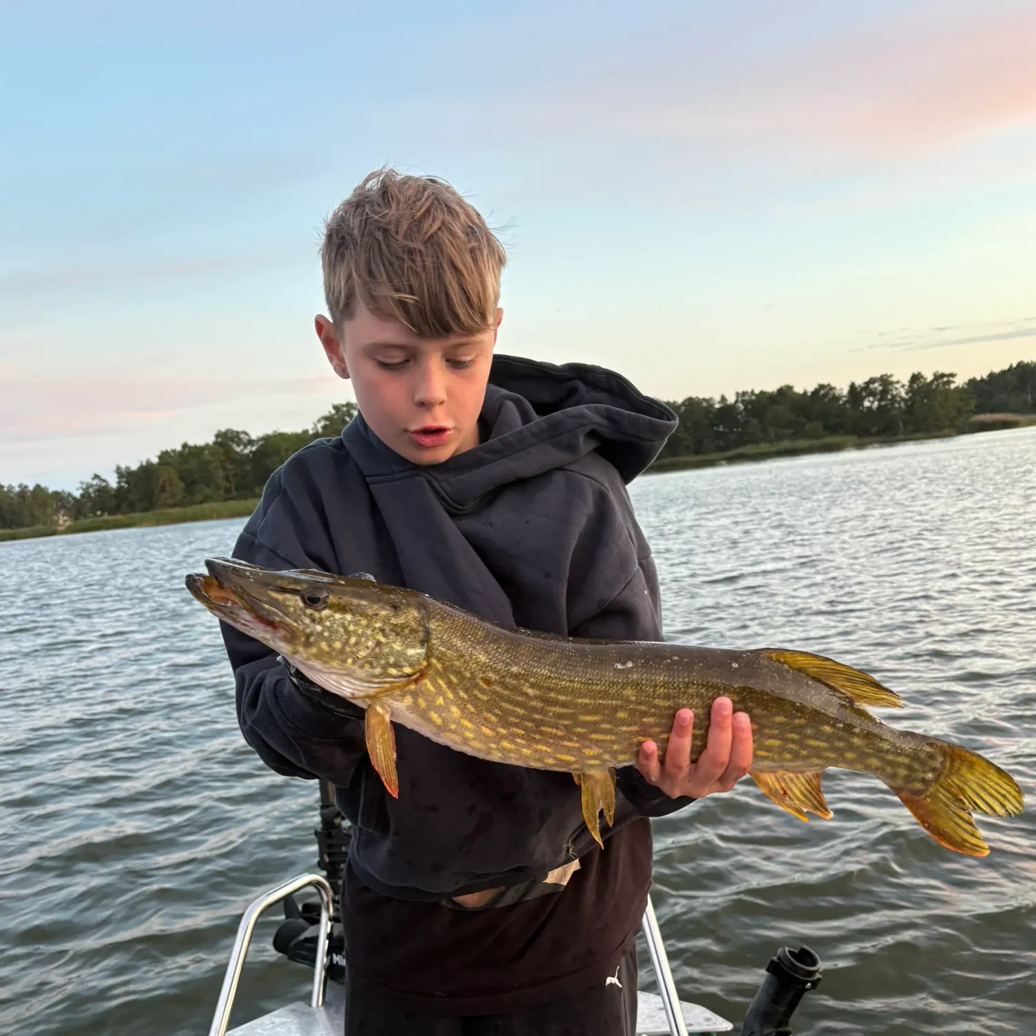 Fish caught on Fishbrain
