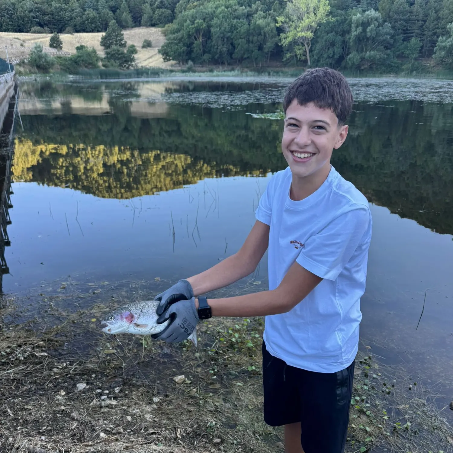Rainbow trout caught on Fishbrain
