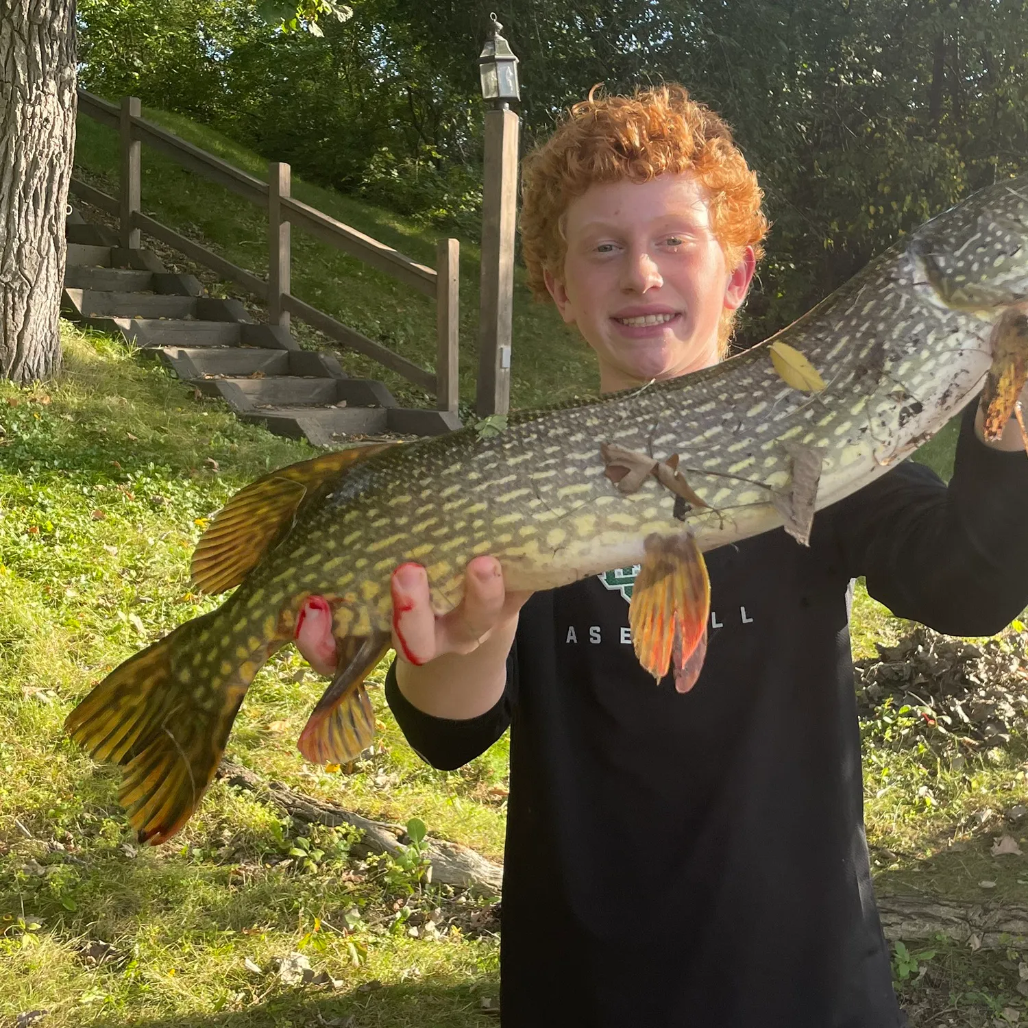 Northern pike caught on Fishbrain
