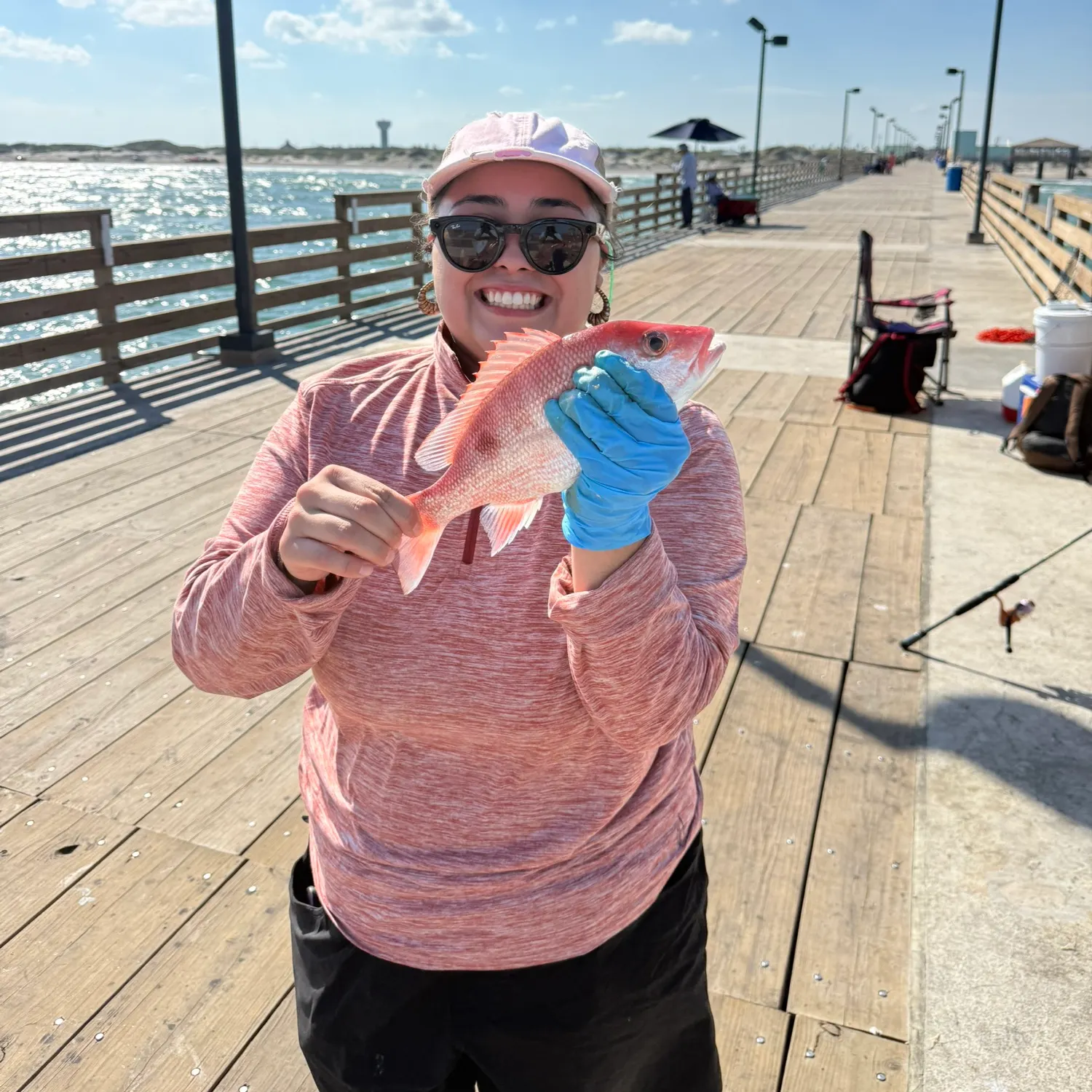 Northern red snapper caught on Fishbrain