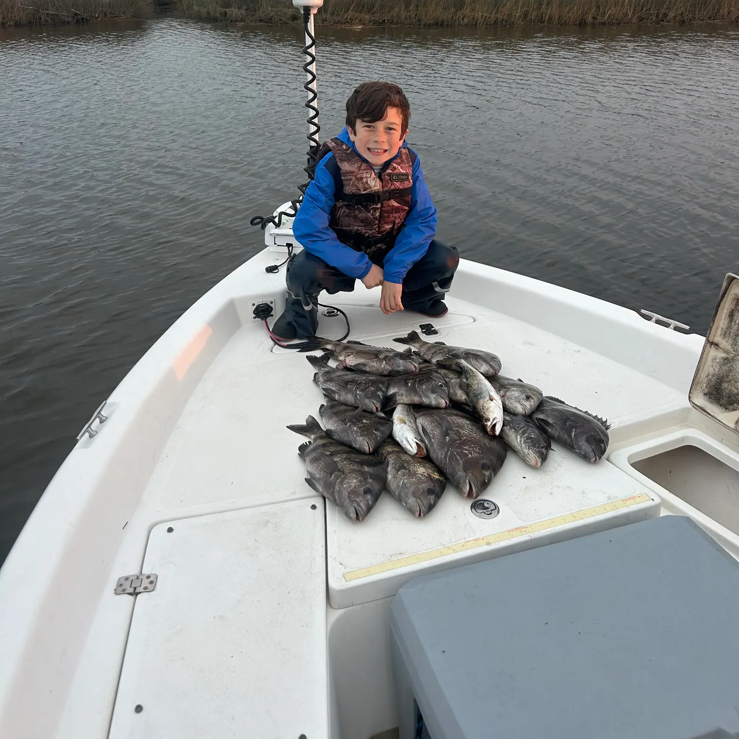 The most recent Sheepshead catches on Fishbrain