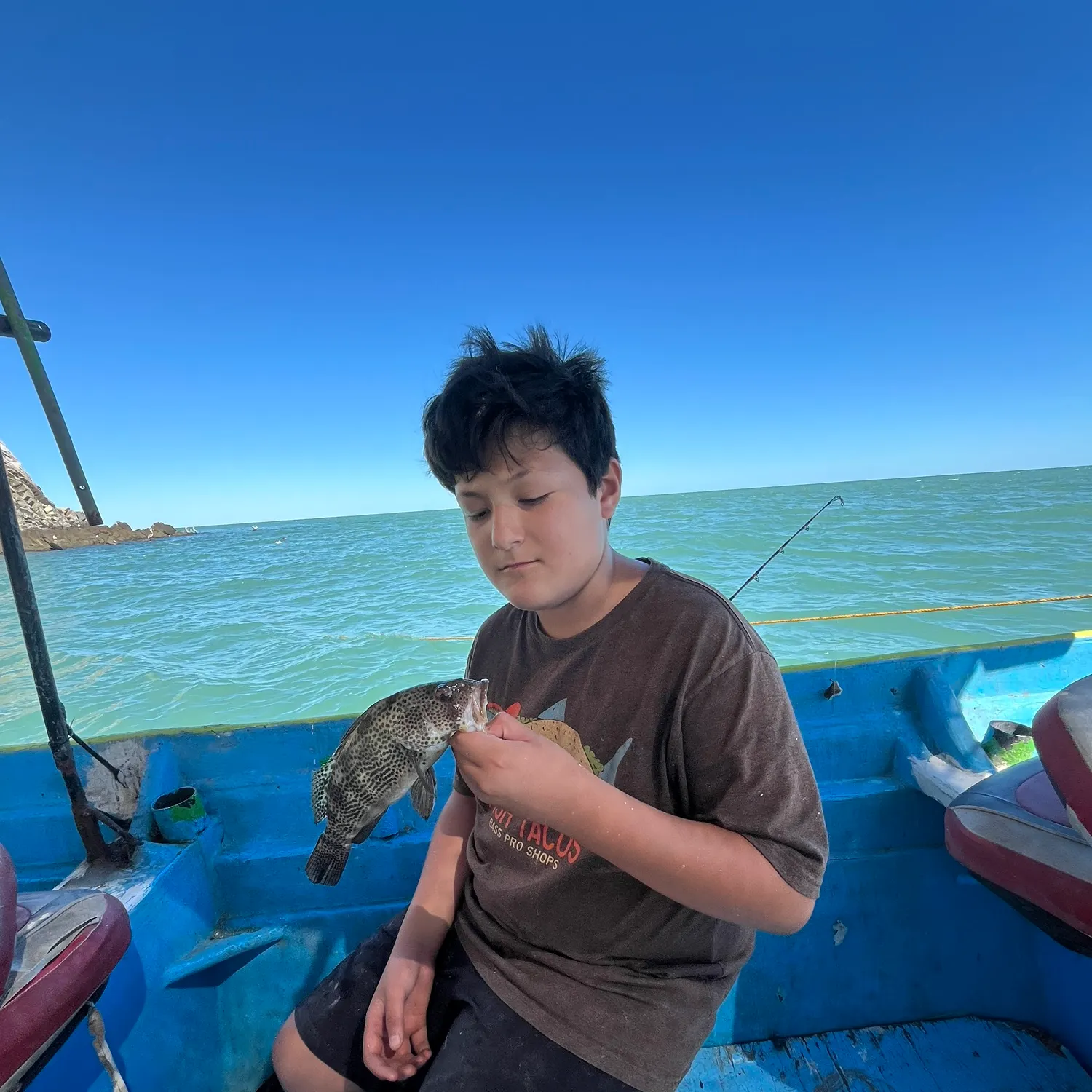 Spotted sand bass caught on Fishbrain