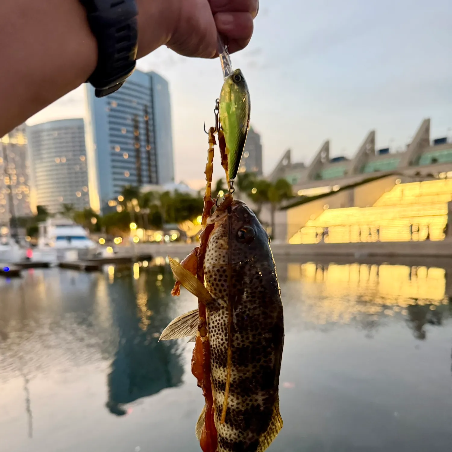 catch