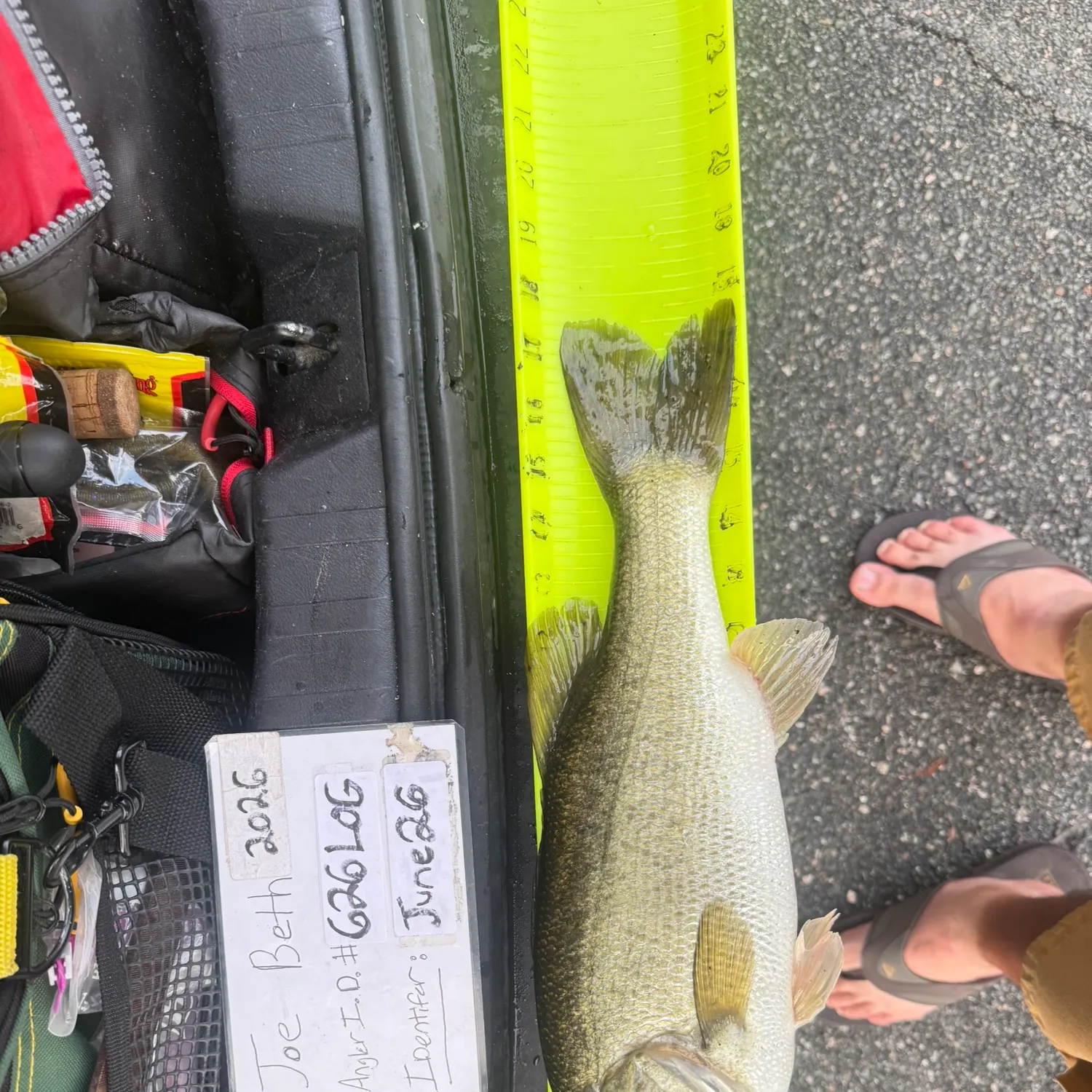 recently logged catches