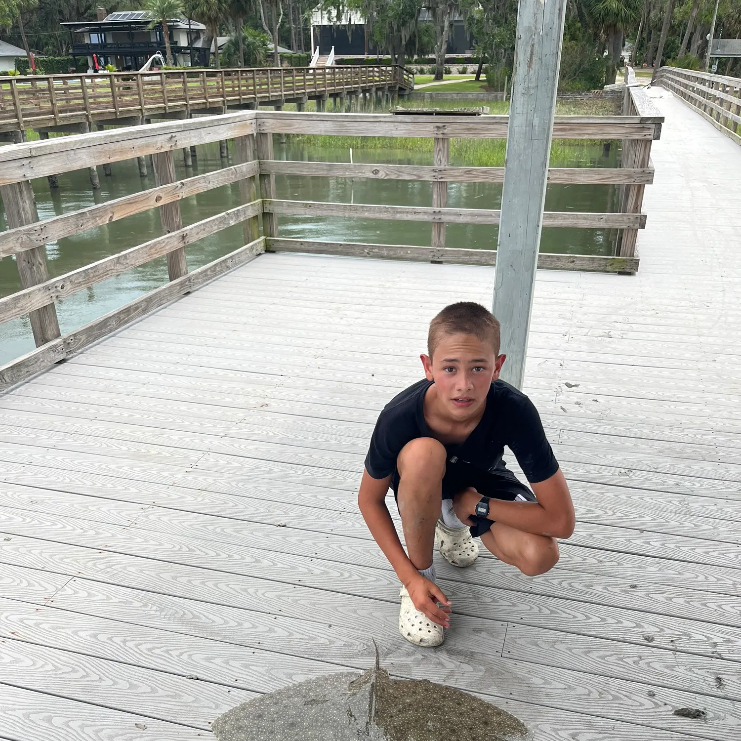 The most recent Spiny butterfly ray catches on Fishbrain