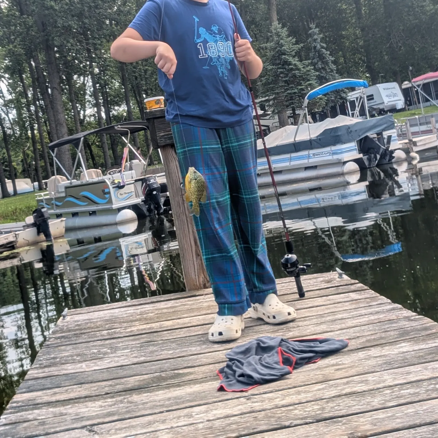 Green sunfish caught on Fishbrain