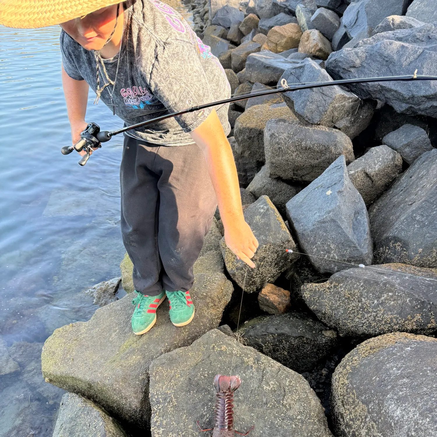 The most recent California spiny lobster catches on Fishbrain
