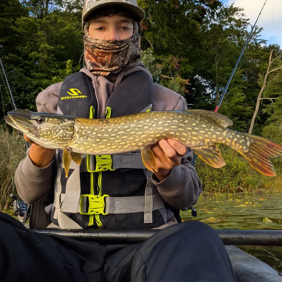 Northern pike caught on Fishbrain
