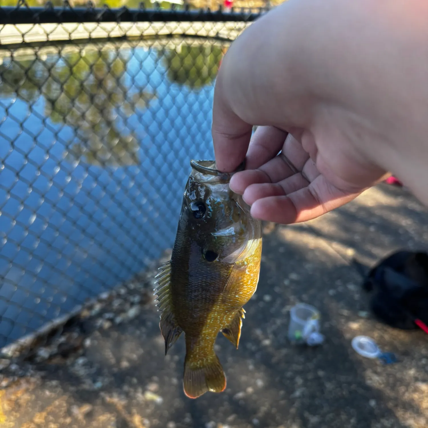 catch