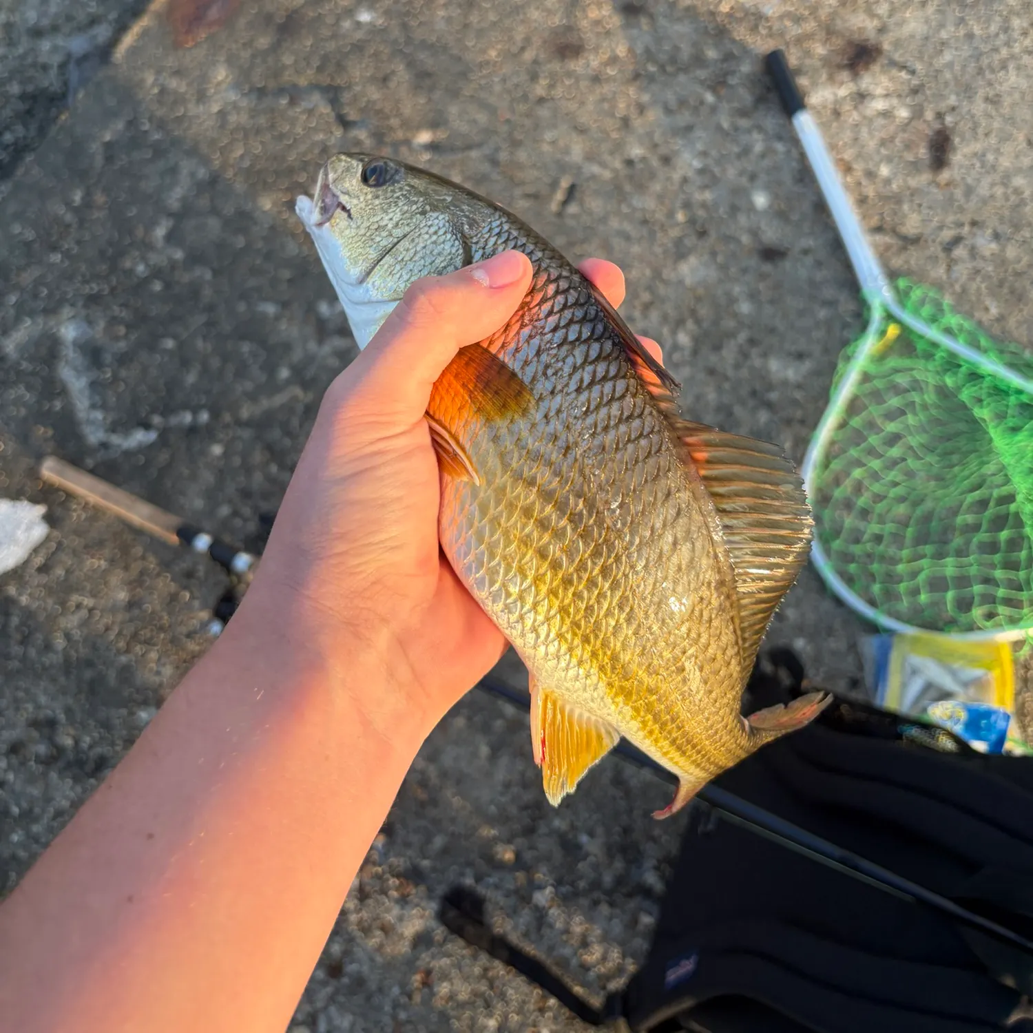 catch