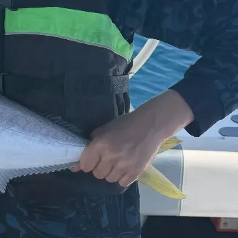 Southern yellowtail amberjack caught on Fishbrain